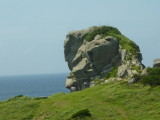 img0148.jpg