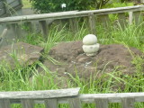 img0160.jpg