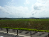 img0171.jpg