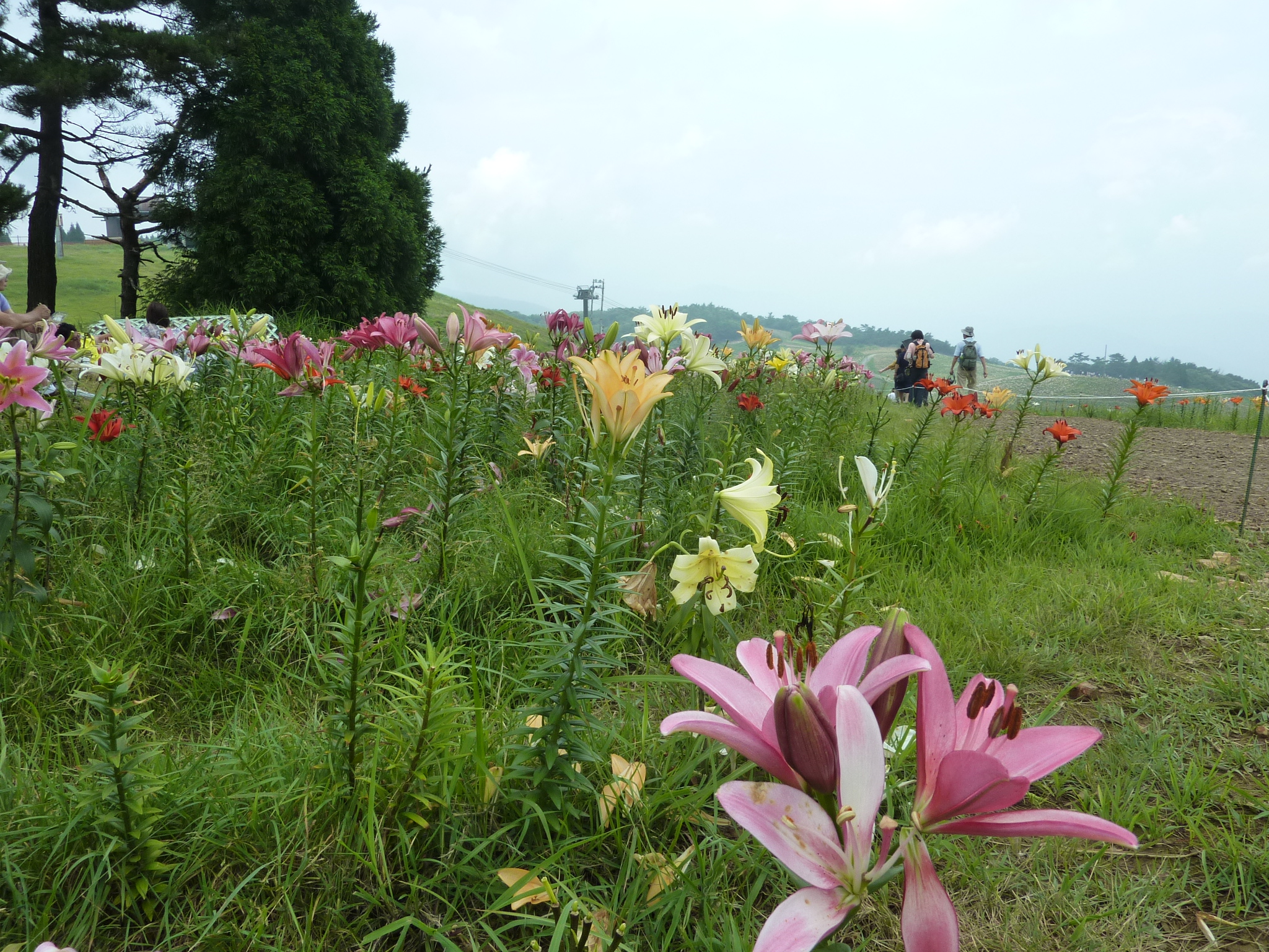 P1050220.JPG