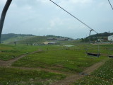 img0005.jpg