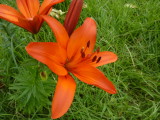 img0011.jpg