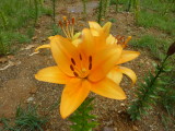 img0015.jpg