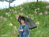 img0017.jpg