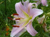 img0023.jpg