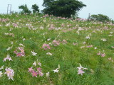 img0024.jpg