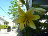 img0001.jpg