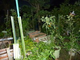 img0018.jpg