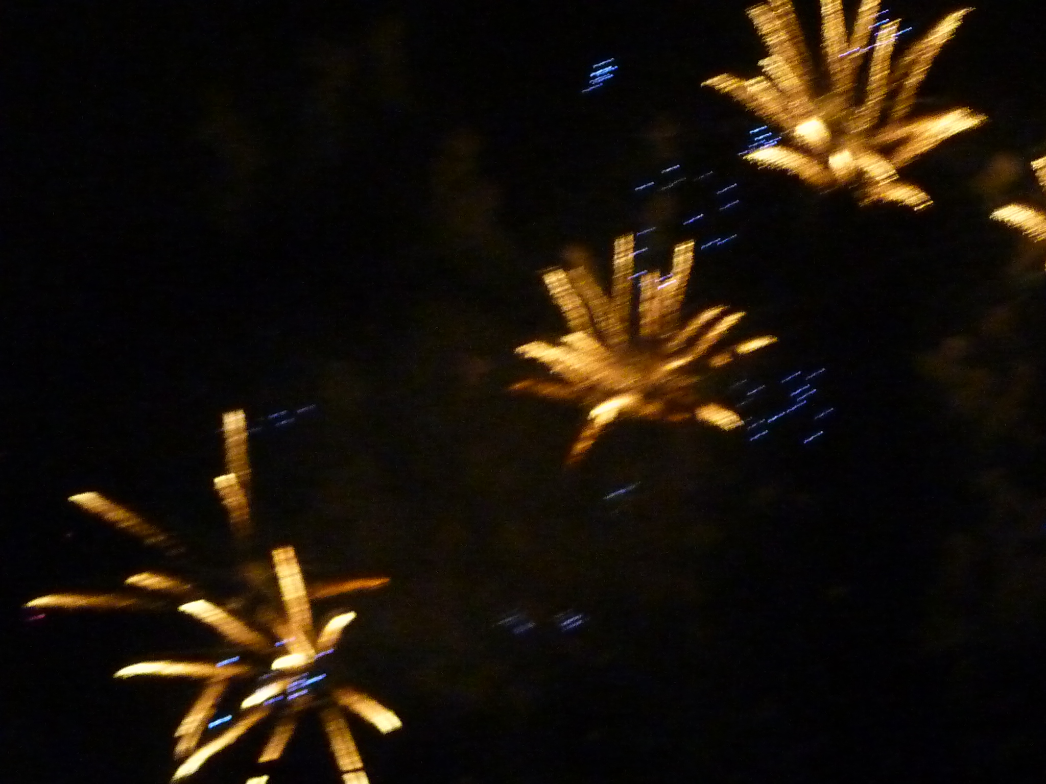 P1050421.JPG