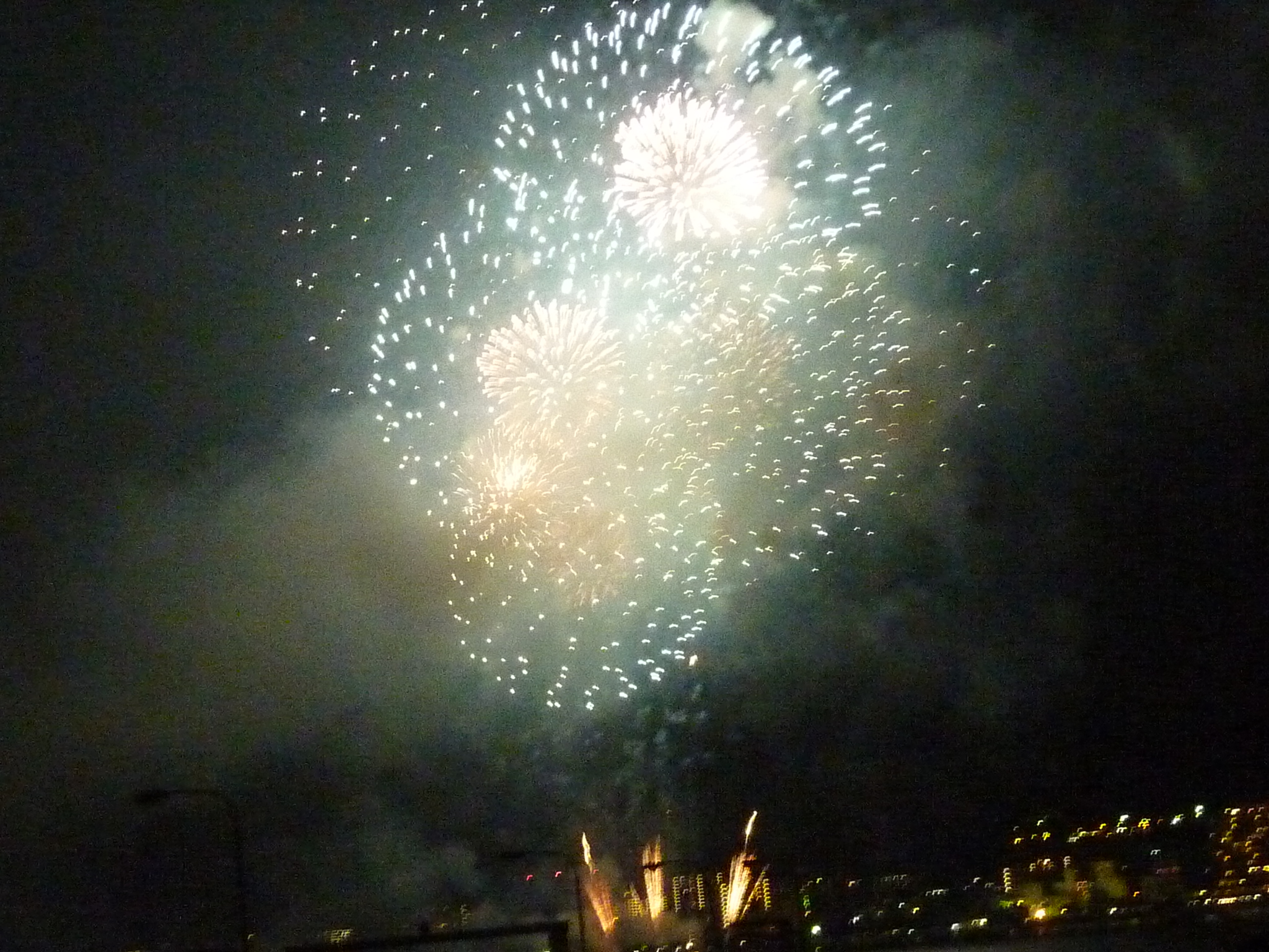 P1050659.JPG