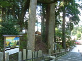img0006.jpg