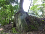 img0010.jpg