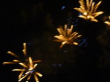img0123.jpg