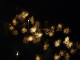 img0133.jpg