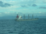 img0021.jpg