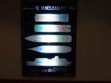 img0052.jpg