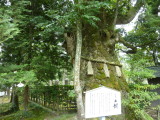 img0028.jpg