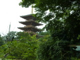 img0063.jpg