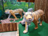 img0014.jpg