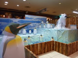 img0015.jpg