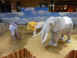img0017.jpg