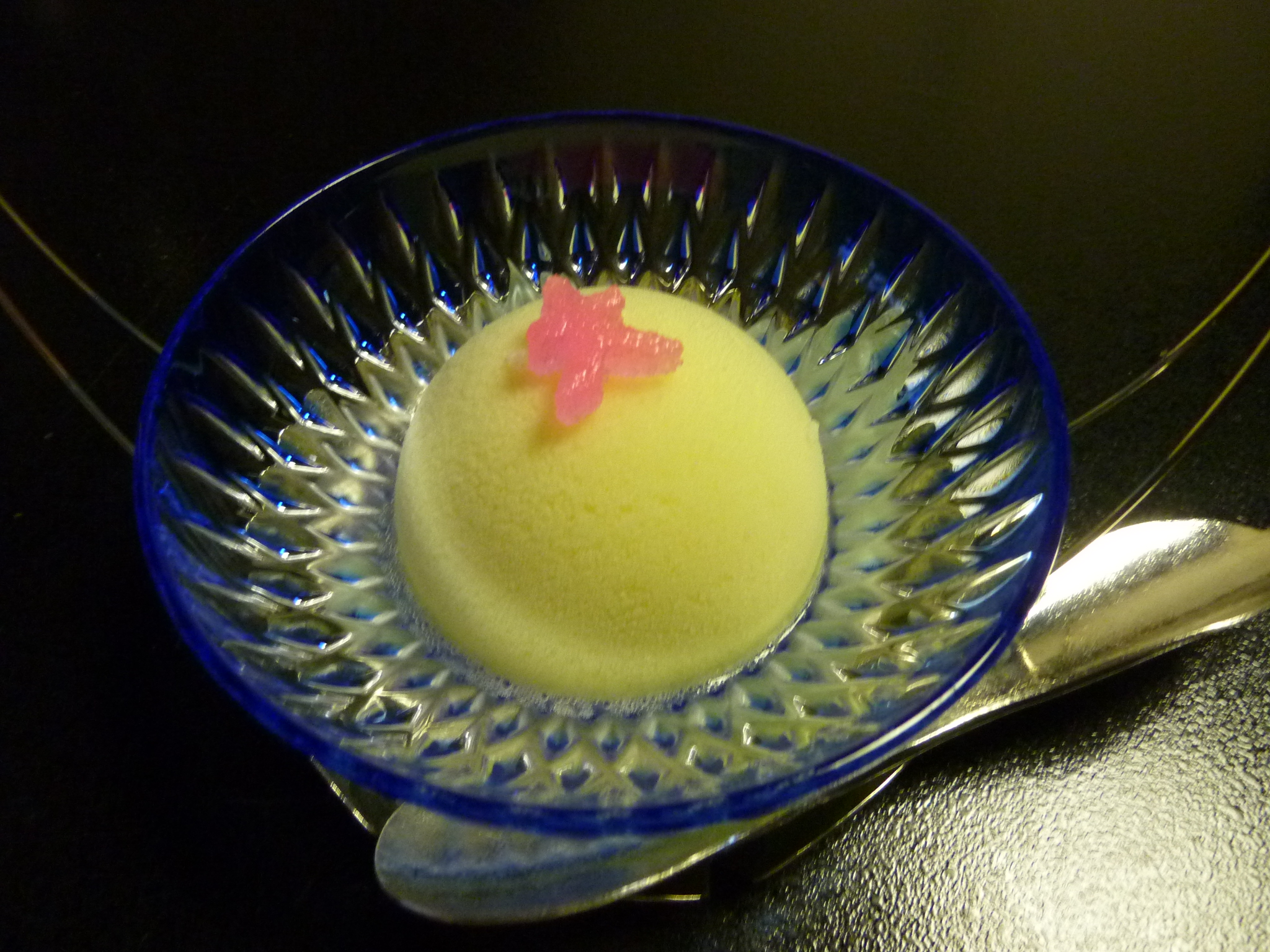 P1060016.JPG