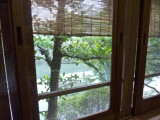 img0006.jpg