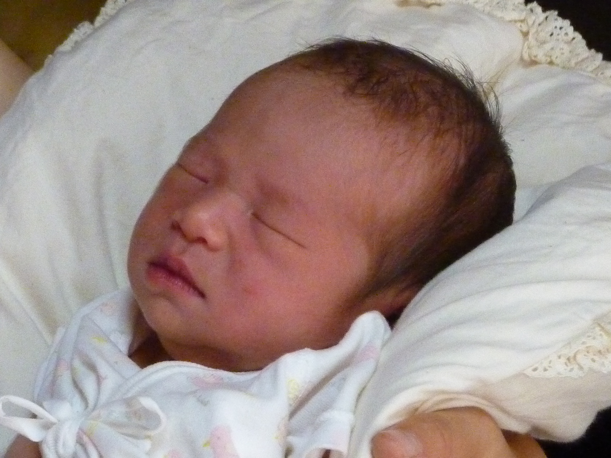 P1060161.JPG