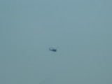 img0031.jpg