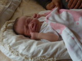img0055.jpg