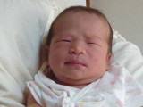 img0082.jpg