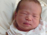 img0083.jpg