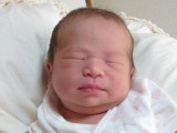 img0087.jpg