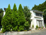 img0091.jpg