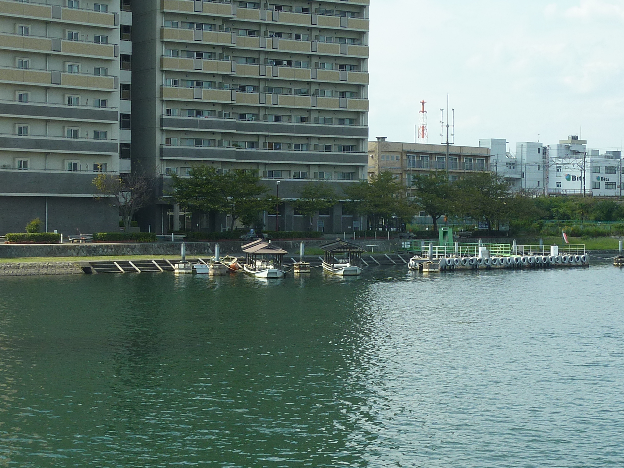 P1060383.JPG