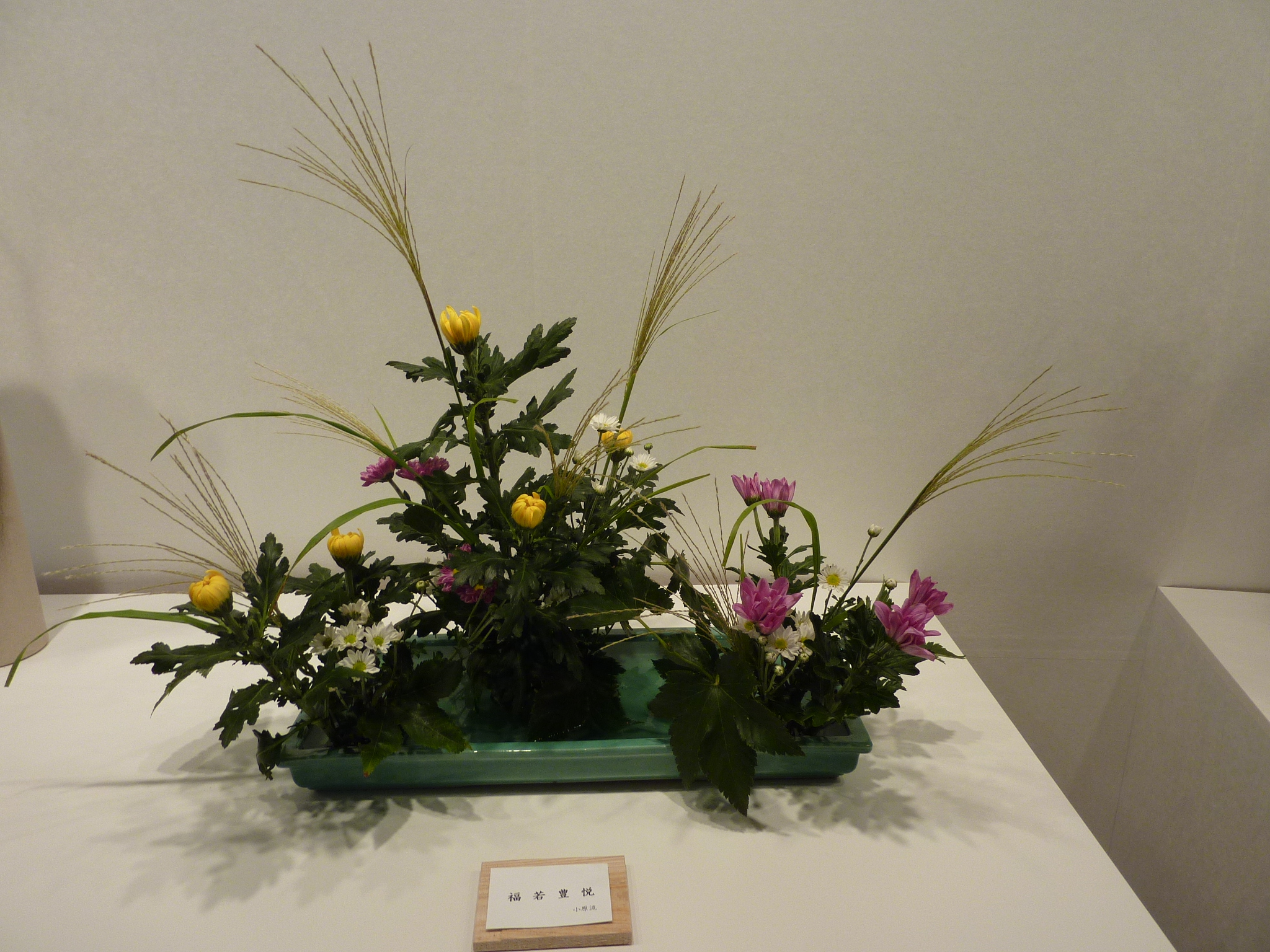 P1060418.JPG