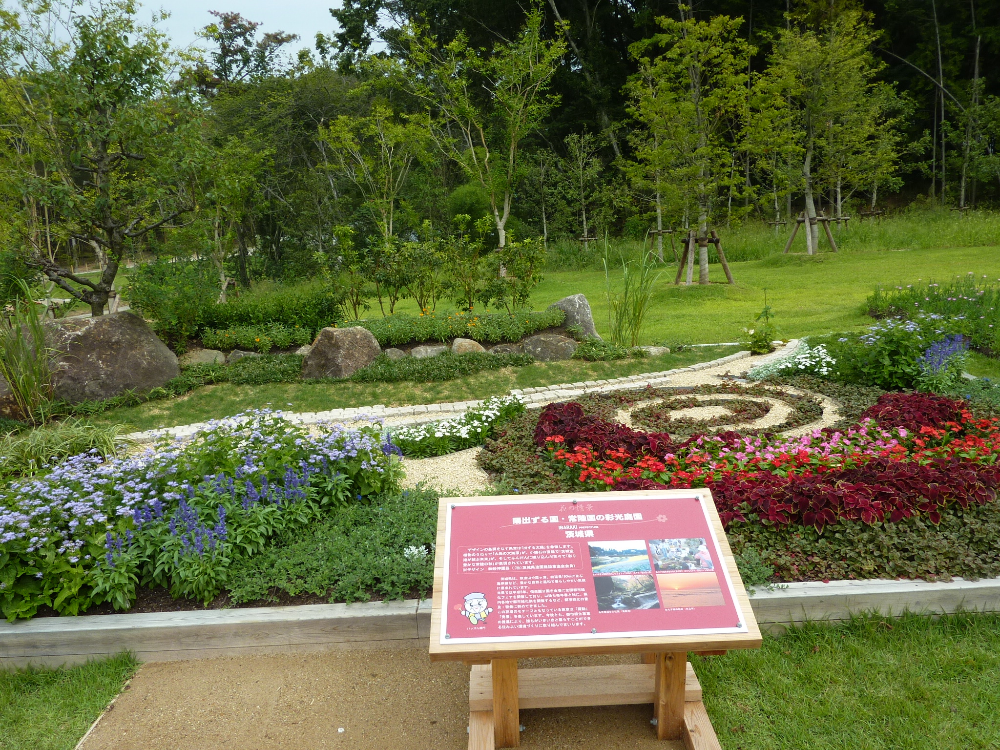 P1060441.JPG