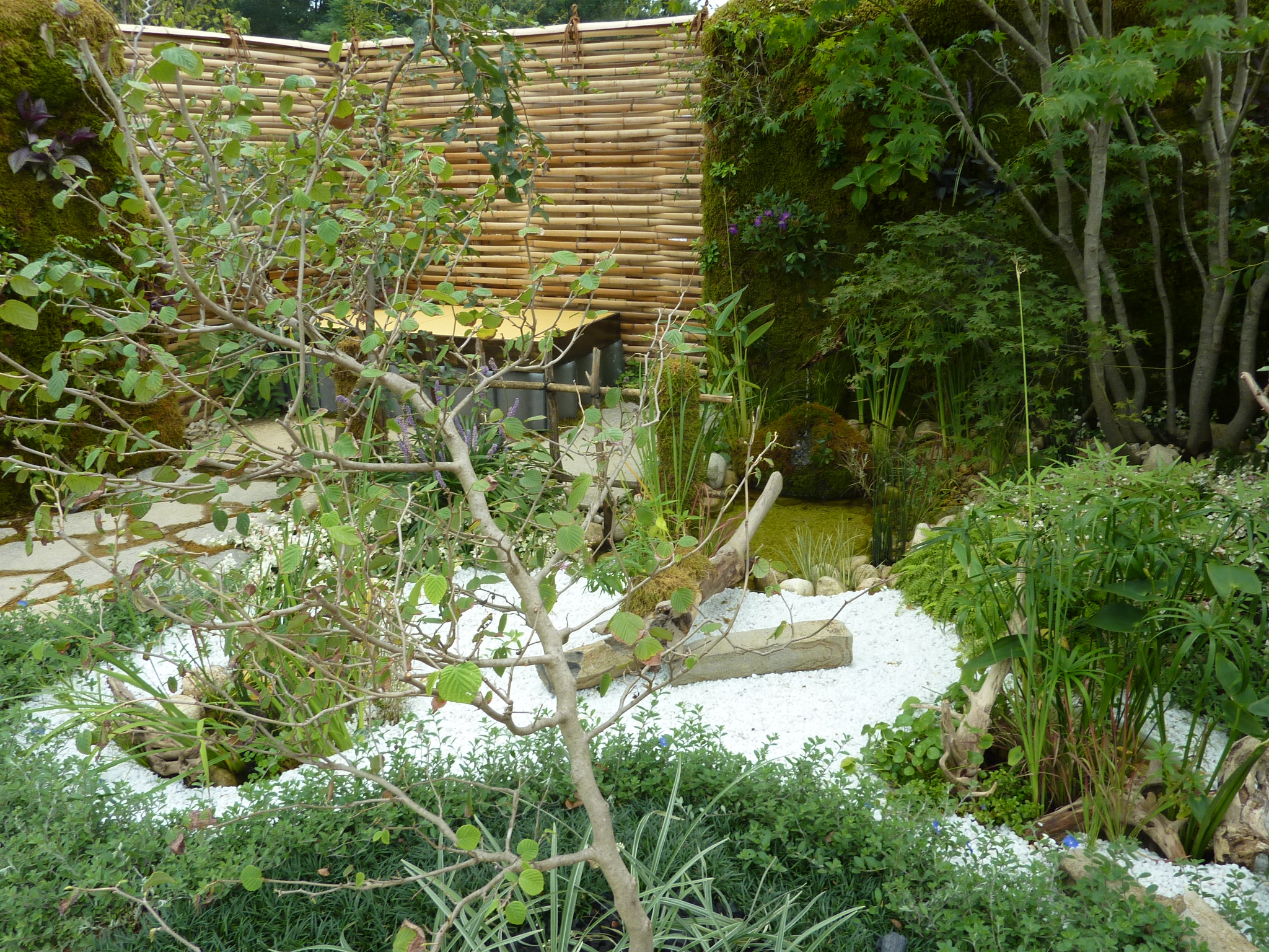 P1060447.JPG