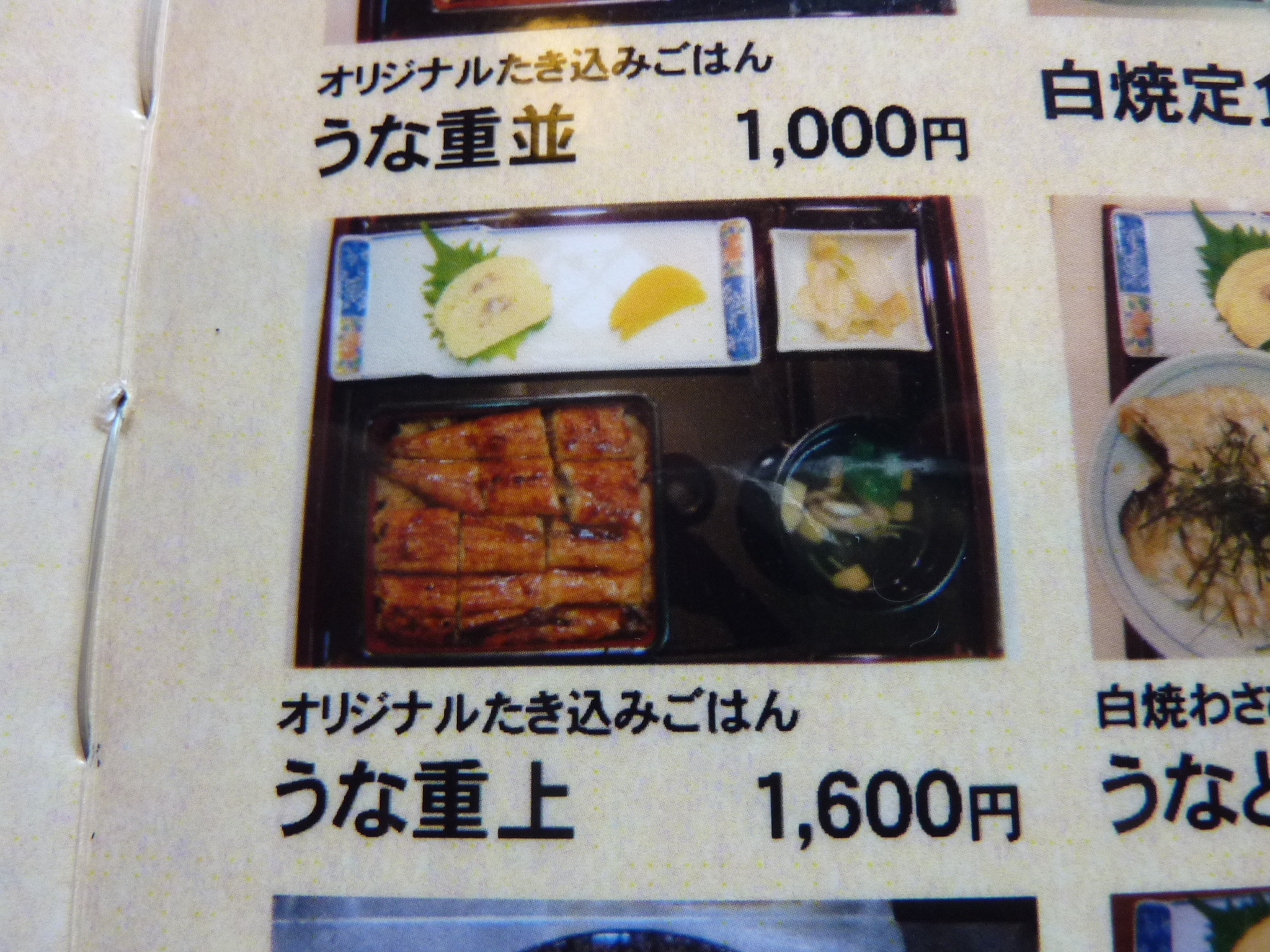 P1060461.JPG