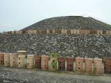 img0011.jpg