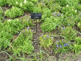 img0014.jpg