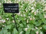 img0020.jpg