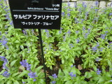 img0022.jpg