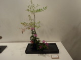 img0025.jpg