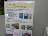 img0031.jpg