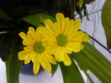 img0033.jpg