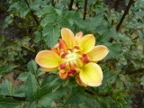 img0049.jpg