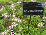 img0051.jpg