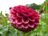 img0059.jpg