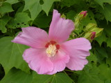 img0066.jpg